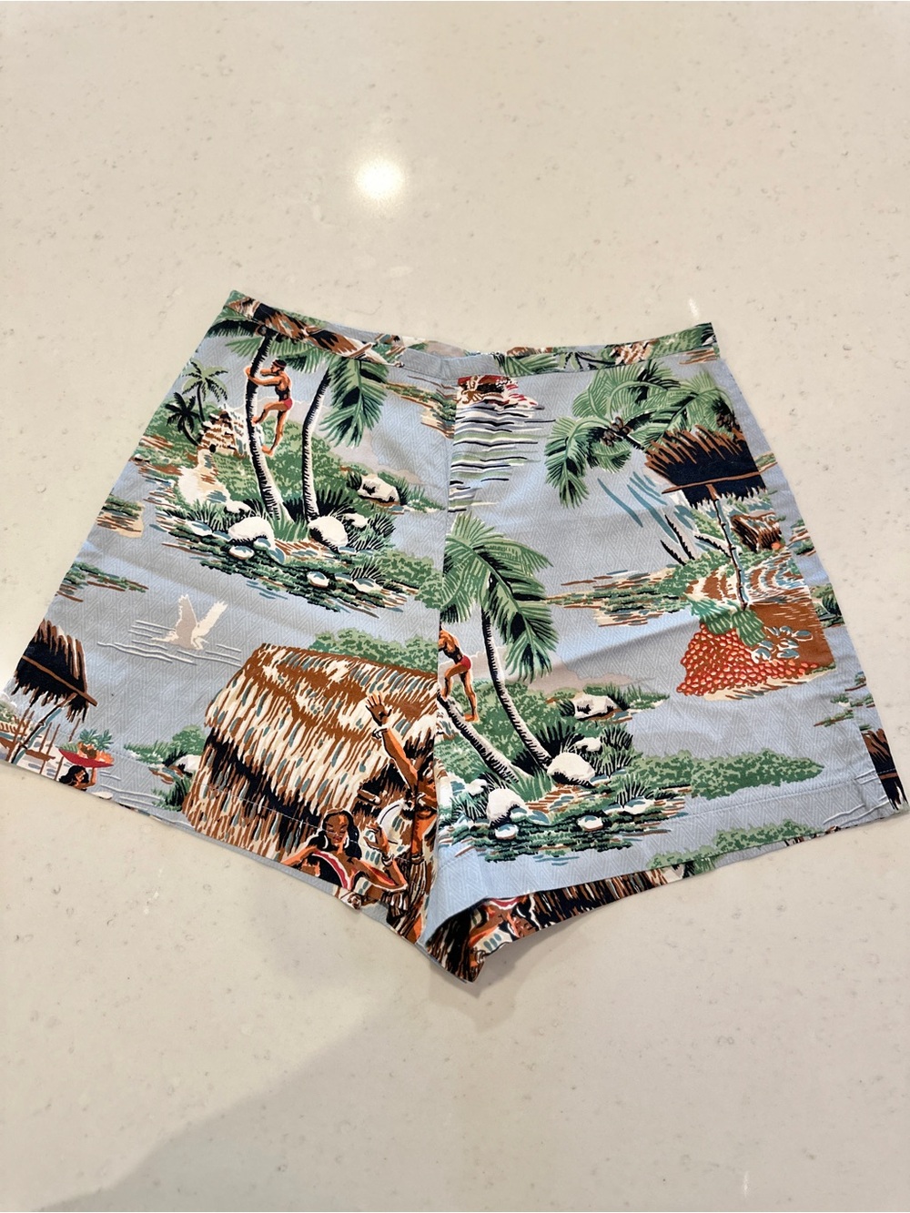 NWOT Reformation 100% Cotton High Waist Shorts Size 2 Blue Print Casual Summer